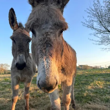 Countryside, Donkeys Goats Prázdninový dům *