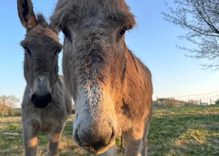 Le Hameau Des Anesses Σπίτι διακοπών *