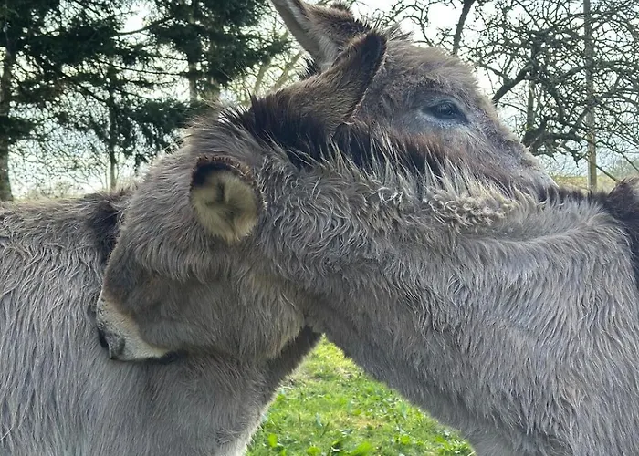 Le Hameau Des Anesses Σπίτι διακοπών *